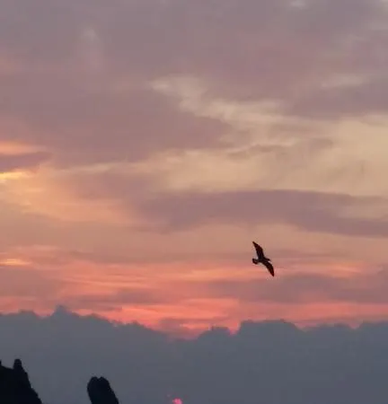 Le Poste Di Simplicio 4*